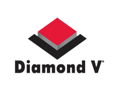 500px sq diamond v